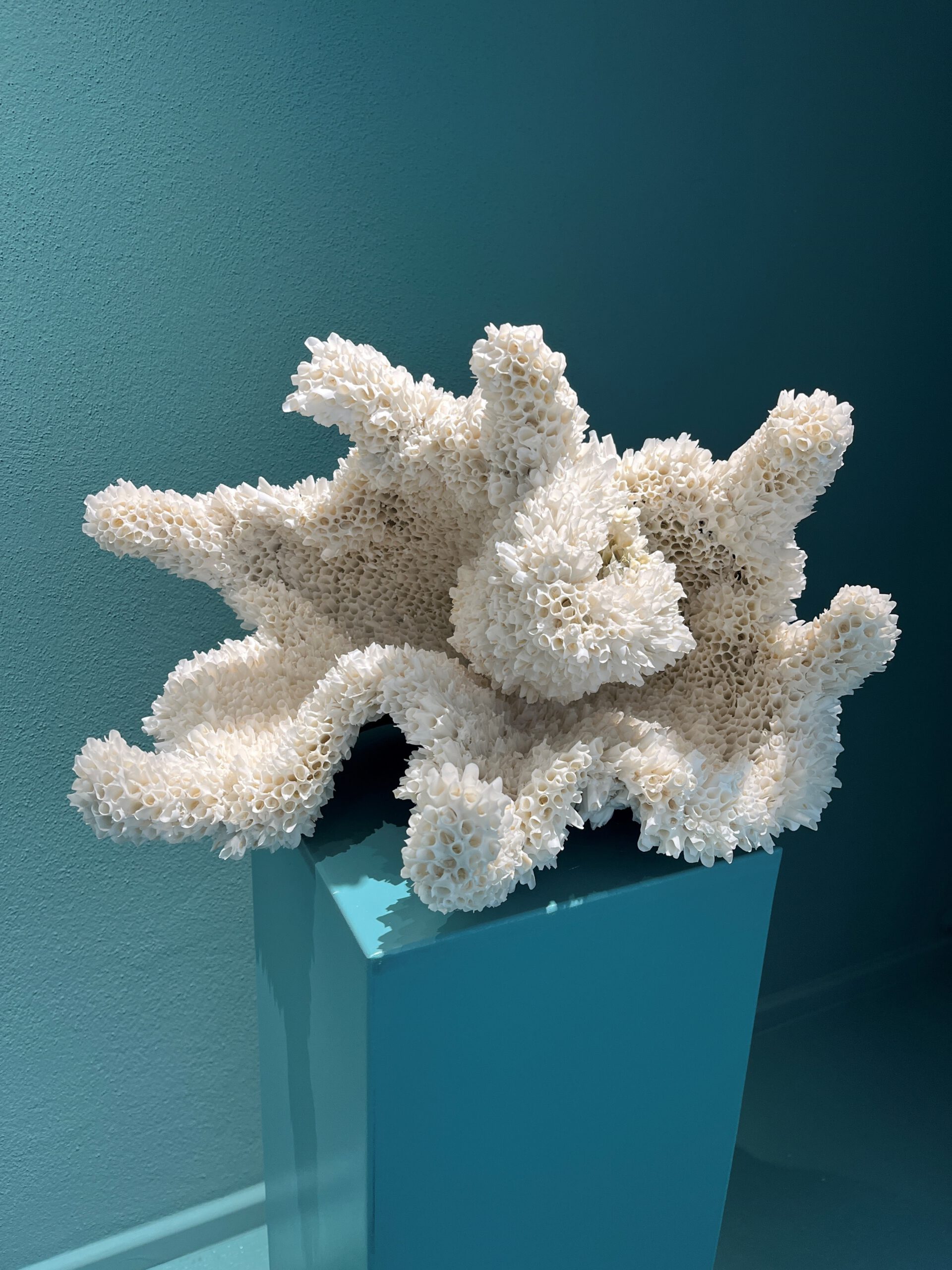 Between the tides Claudia Biehne