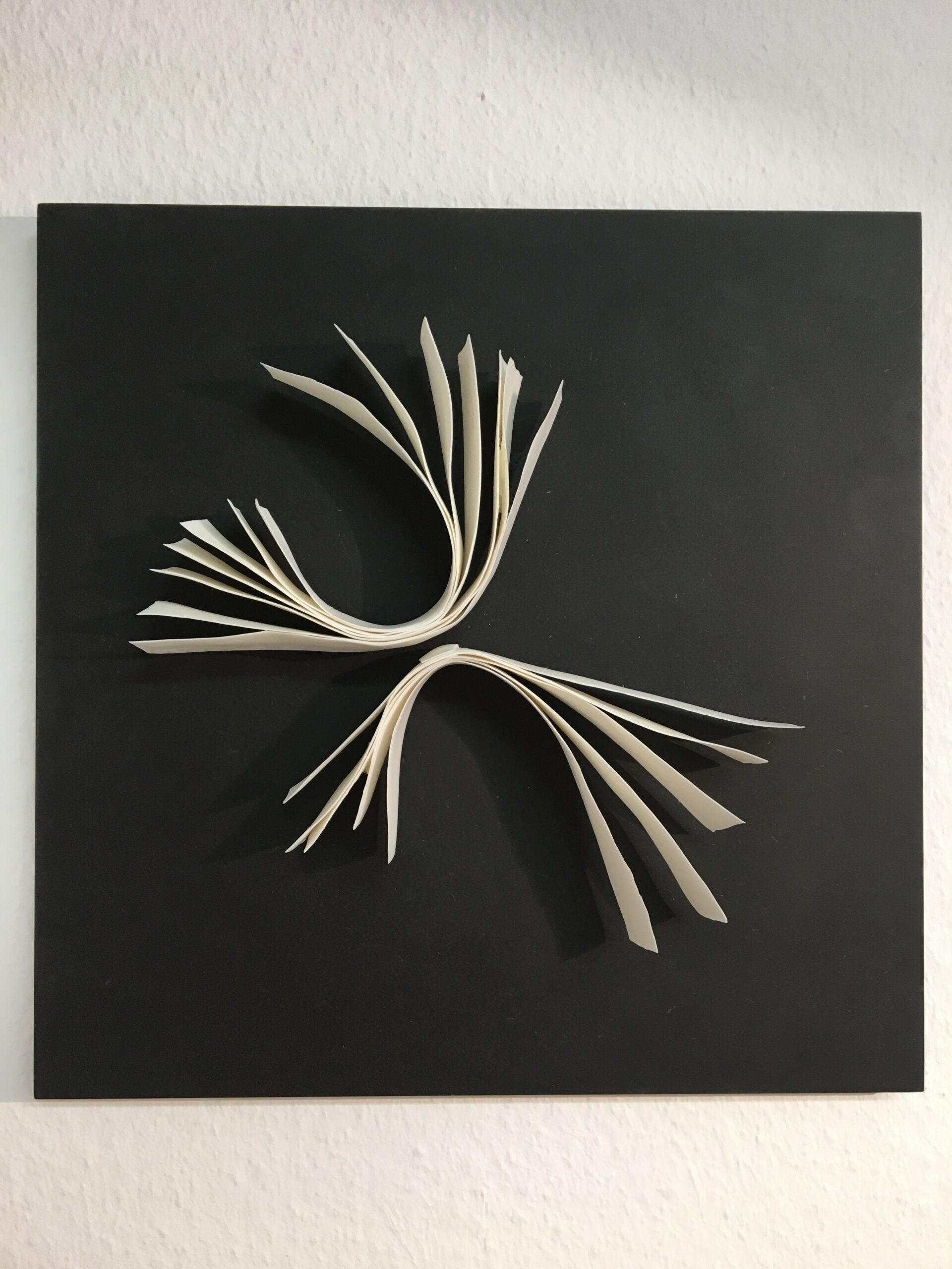 Christa Berz Anziehung Christa Berz Anziehung